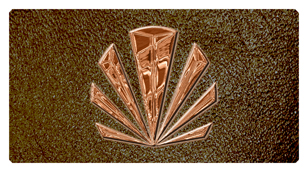 DSC700 602 CP SH BR Copper Sunburst Shimmer Brown Background